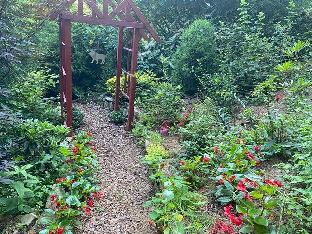 The red garden